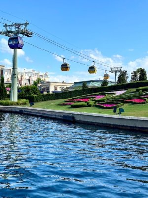 IMG_2024-05-30-185854.jpg