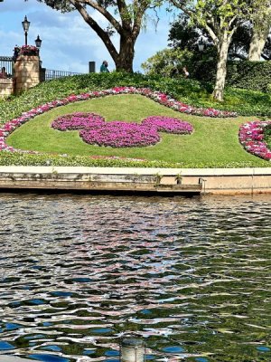 IMG_2024-05-30-185946.jpg
