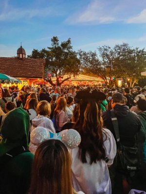 Rope Drop1.jpg