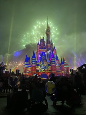 IMG_7534.JPG