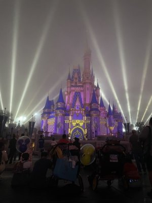 IMG_7543.JPG