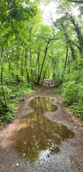 IMG_0698.jpeg