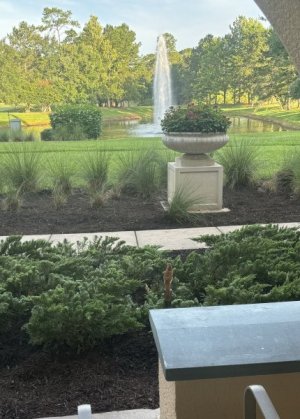 IMG_2427.jpeg