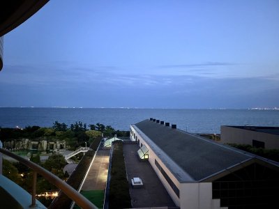 IMG_3252.jpeg
