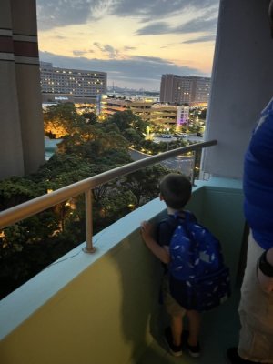 IMG_3251.jpeg