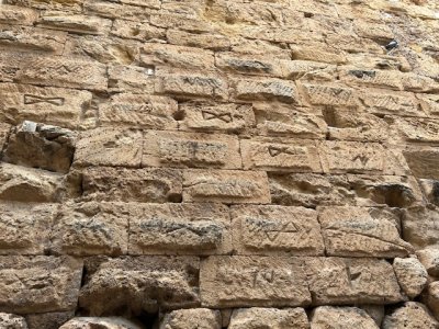 IMG_0791.jpeg