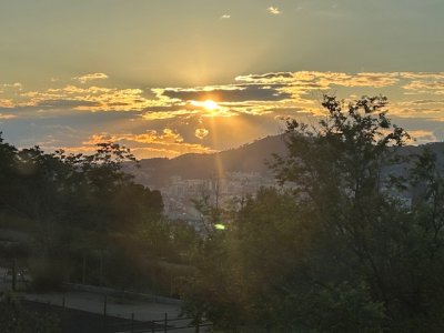 IMG_0852.jpeg
