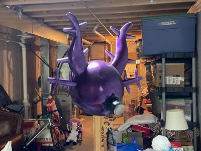 thumbnail_IMG_7519.jpg