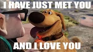 i HAVE JUST MET YOU.jpg i HAVE JUST MET YOU.jpg