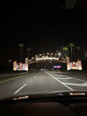IMG_4203.JPEG
