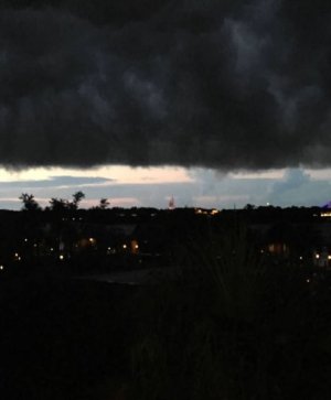 IMG_3979.jpeg