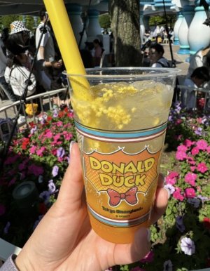 IMG_6541.jpeg