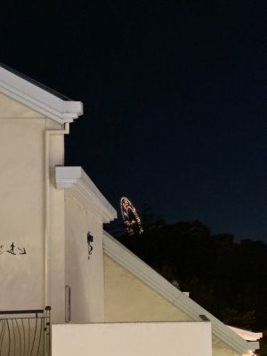 IMG_6763.jpeg