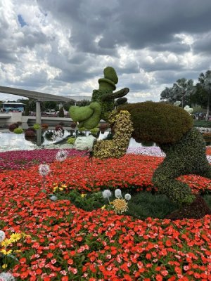 IMG_4220.JPEG