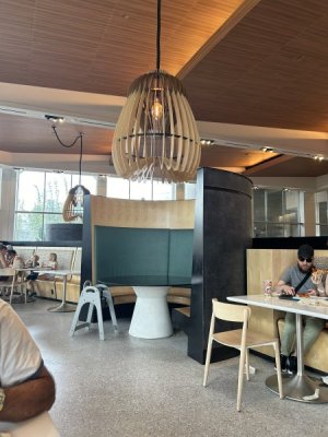 IMG_4230.JPEG IMG_4230.JPEG