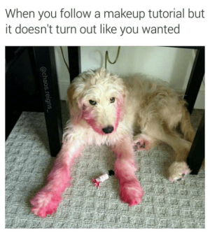 1717606189255.png