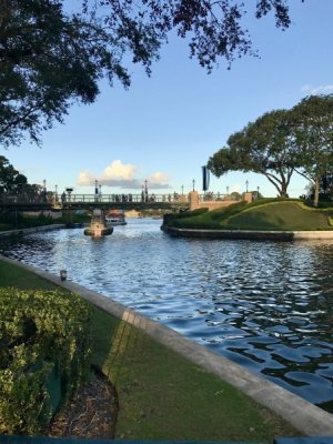 IMG_0818.jpeg