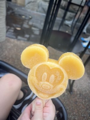 IMG_3383.jpeg