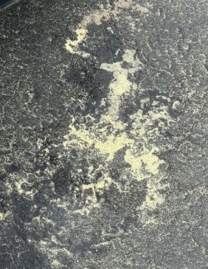 IMG_1995.jpeg