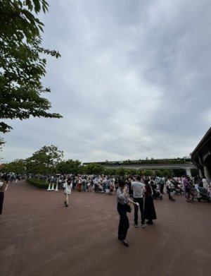 IMG_7443.jpeg