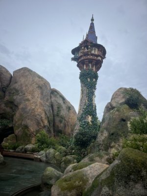 IMG_3504.jpeg