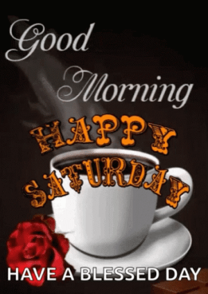 IMG_3479.gif