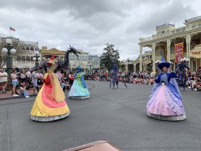 IMG_5216.JPEG