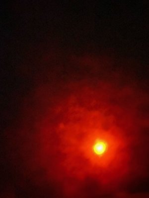 thumbnail_IMG_7359.jpg