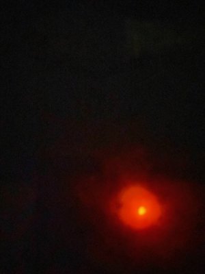 thumbnail_IMG_7357.jpg