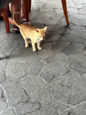image4.jpeg