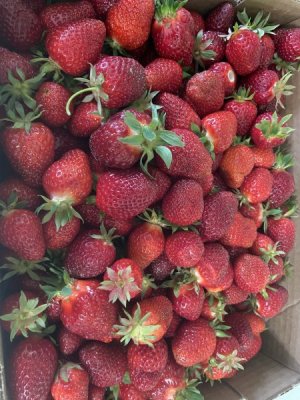 IMG_0429.jpeg
