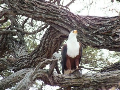 DSCF4904.JPG
