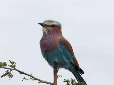 DSCF4895.JPG