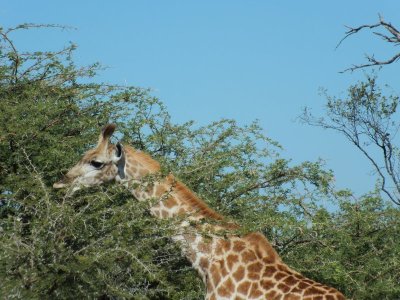 DSCF5103.JPG