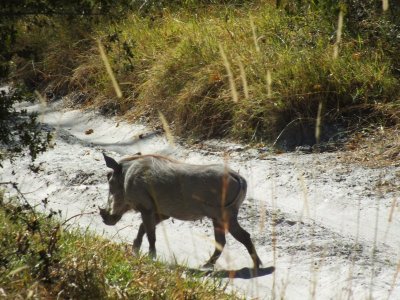 DSCF5114.JPG