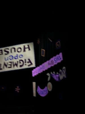 IMG_4291.JPEG