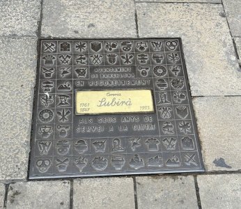 IMG_0877.jpeg