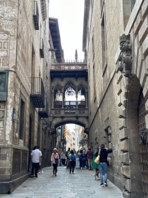 IMG_0886.jpeg