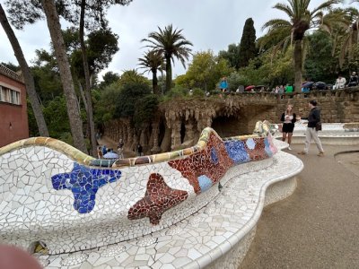 IMG_0908.jpeg