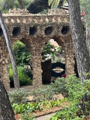 IMG_0929.jpeg