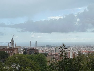 IMG_0903.jpeg