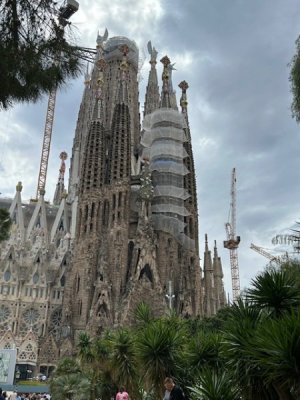 IMG_0947.jpeg