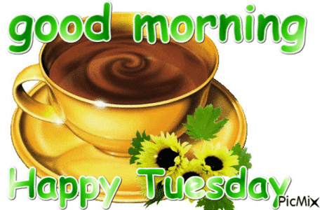 IMG_3498.gif