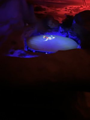 IMG_4311.JPEG
