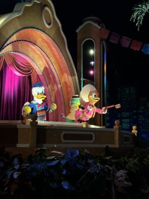 IMG_4313.JPEG