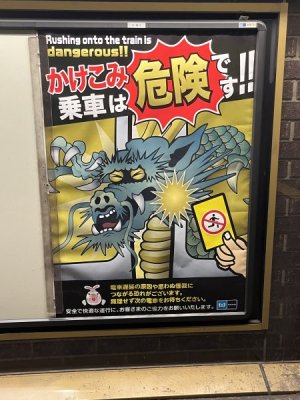 IMG_1141.jpeg