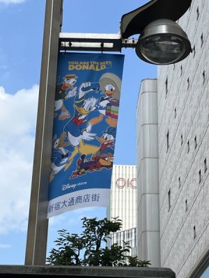 IMG_1147.jpeg
