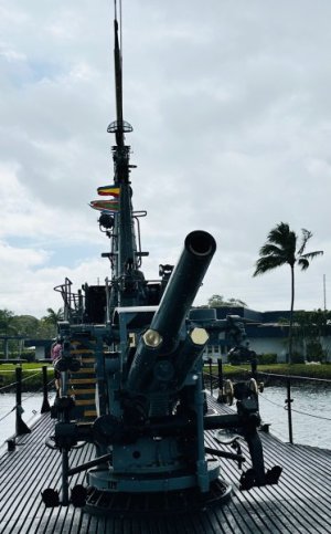 image6.jpeg