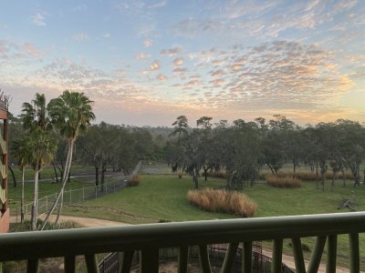 IMG_8277.jpeg