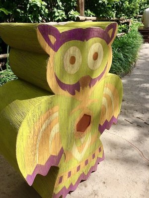 IMG_0076.jpeg